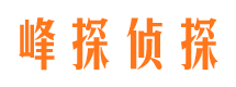 环翠峰探私家侦探公司